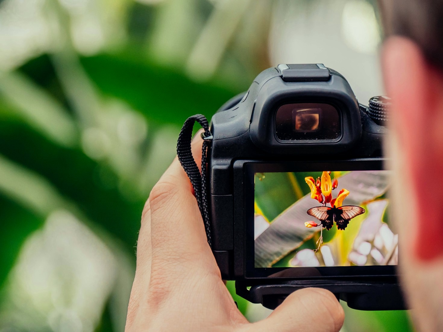 The Best Lenses for Nature Enthusiasts